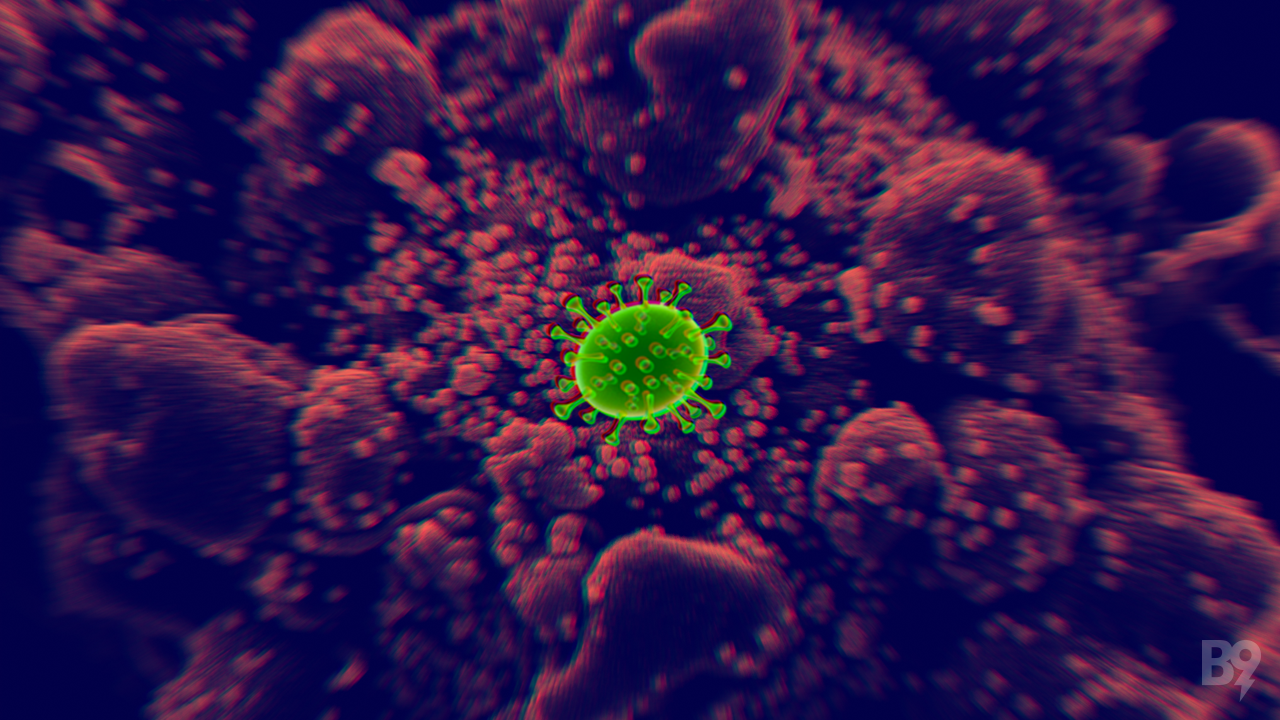 coronga (1)
