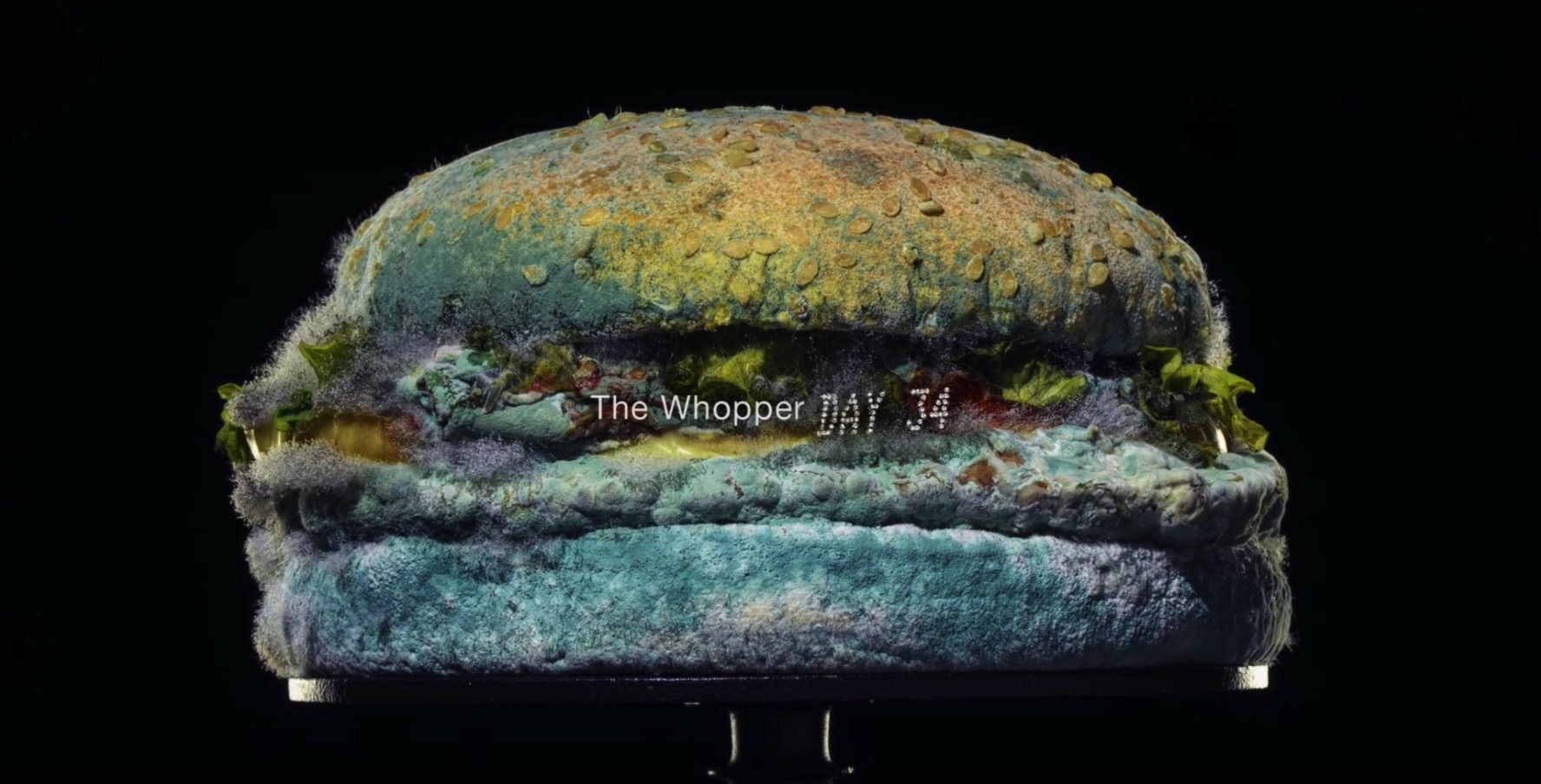 moldy_whopper