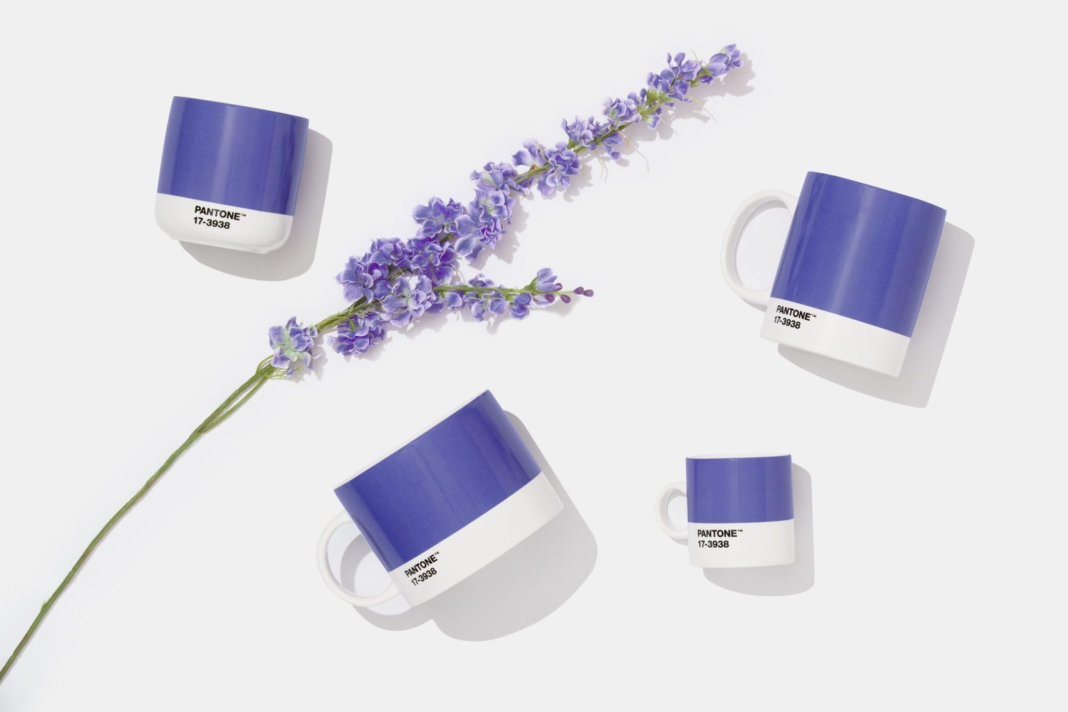 COY22-Mugs-scaled