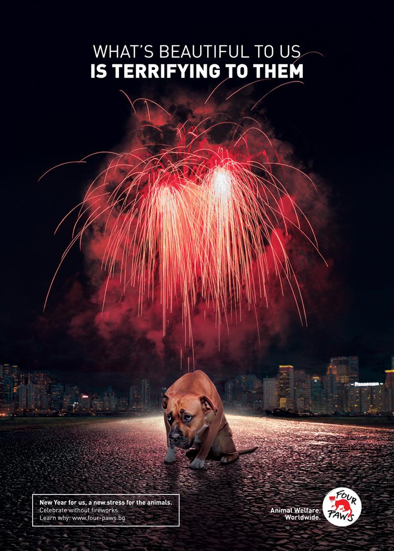 Four Paws Print Ad - #soundOFF