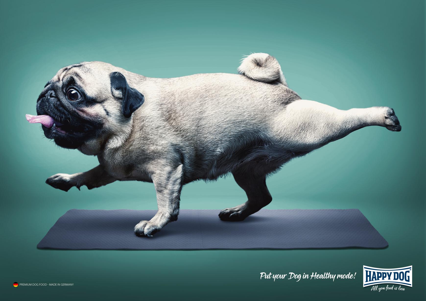 Advertisement by Mojo creative studio, United Arab Emirates Happy Dog Print Ad - Healthy Mode