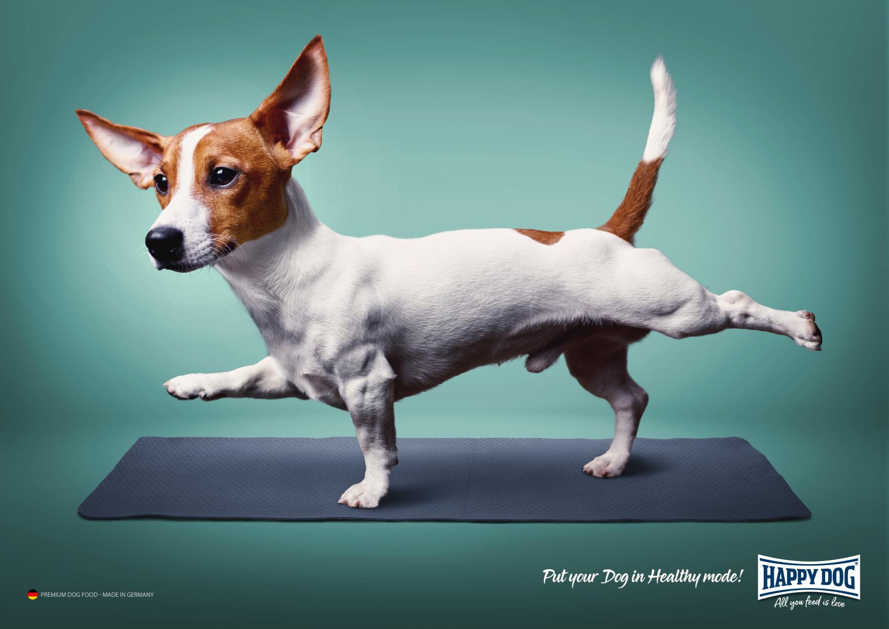 Advertisement by Mojo creative studio, United Arab Emirates Happy Dog Print Ad - Healthy Mode