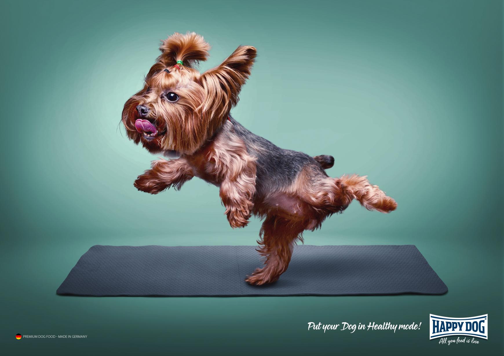 Advertisement by Mojo creative studio, United Arab Emirates Happy Dog Print Ad - Healthy Mode