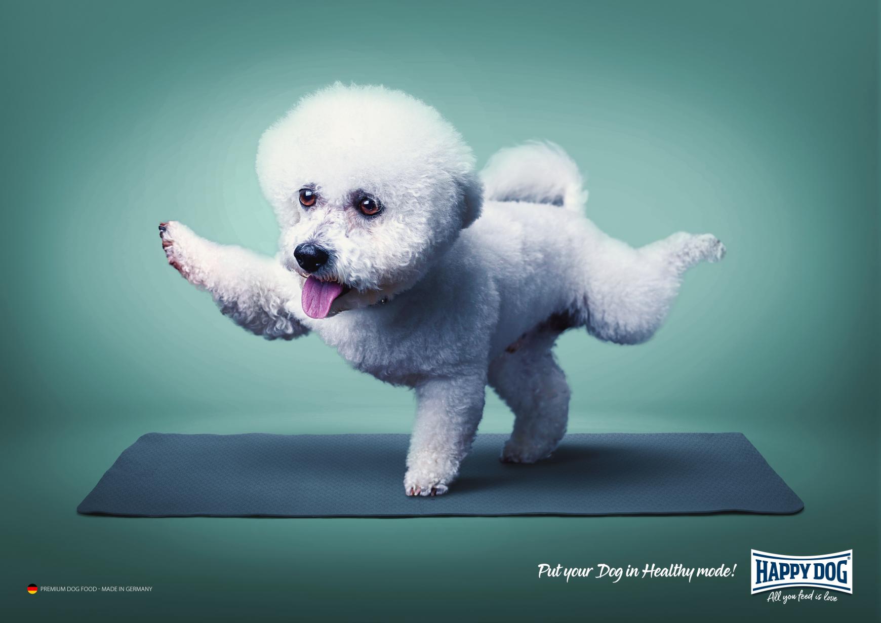 Advertisement by Mojo creative studio, United Arab Emirates Happy Dog Print Ad - Healthy Mode