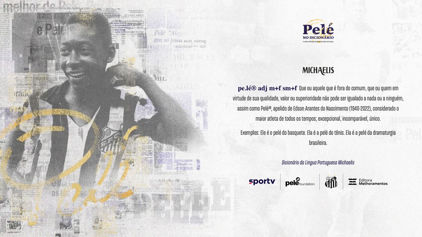 Pele Michaelis Dicionário